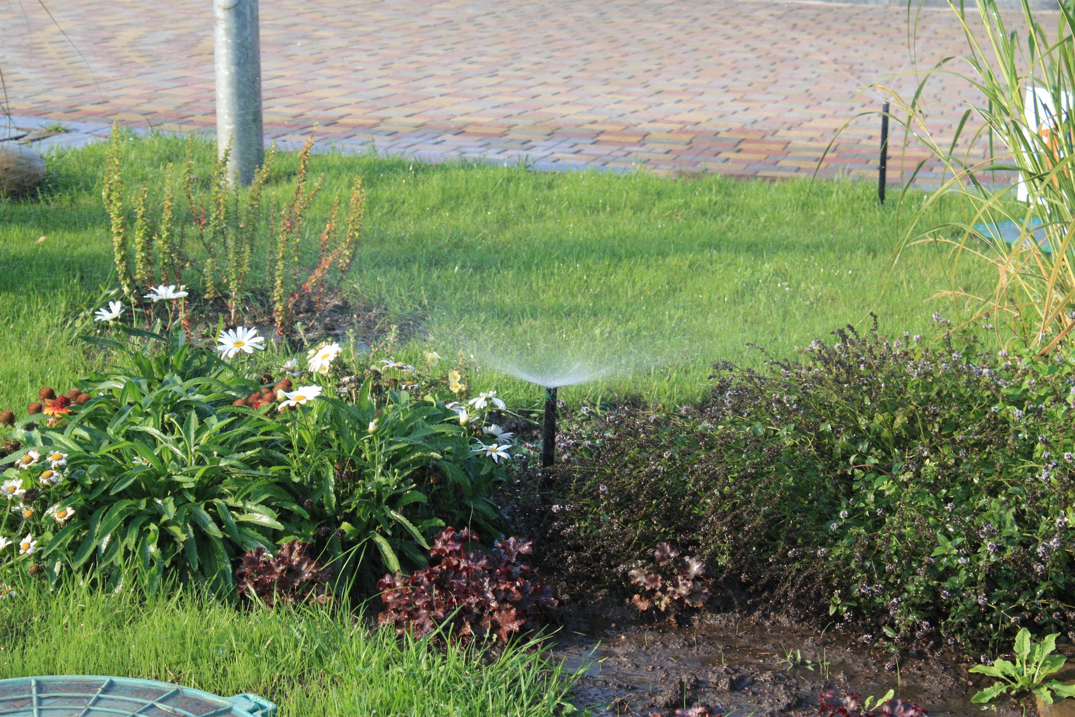 Парк Ленінського Комсомолу, фото 53